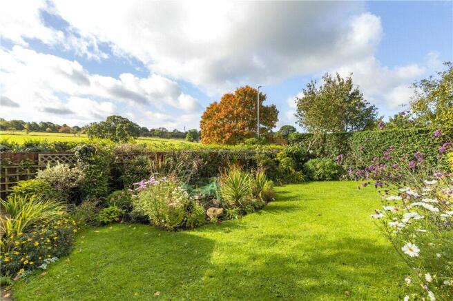 Lovely Garden