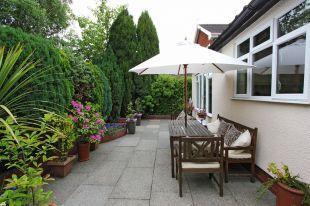 Patio Area