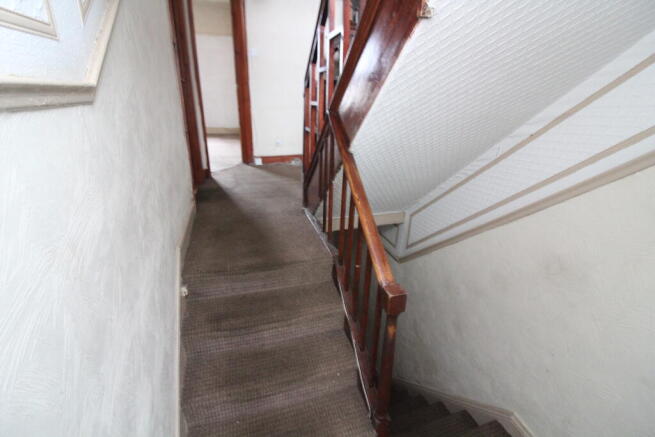 IMG 8211 T202603031519.jpg