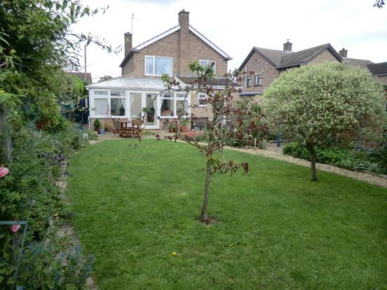 Back Garden