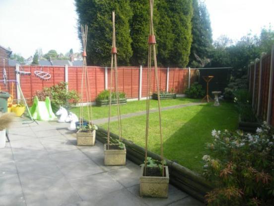 Garden Rear
