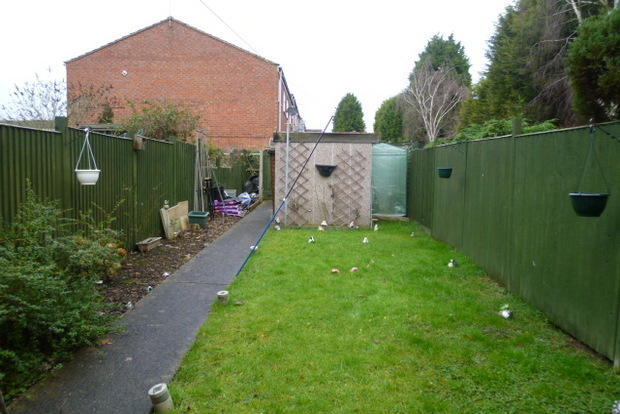 Photo 9