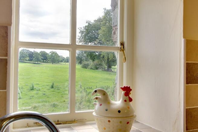 View from the sink