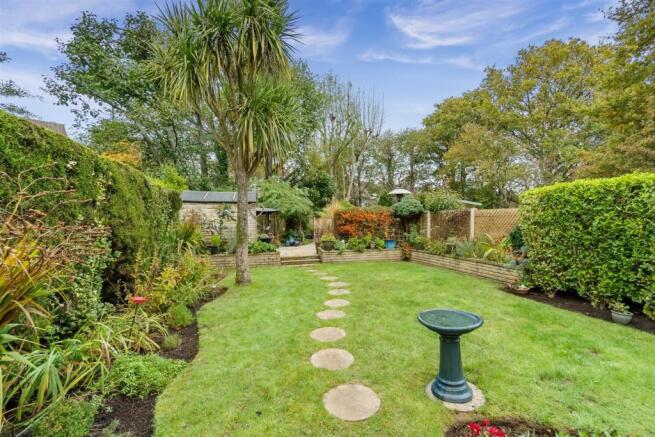 Lawn.jpg