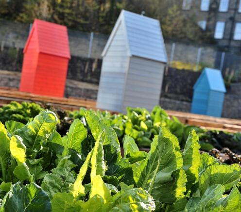 Allotments