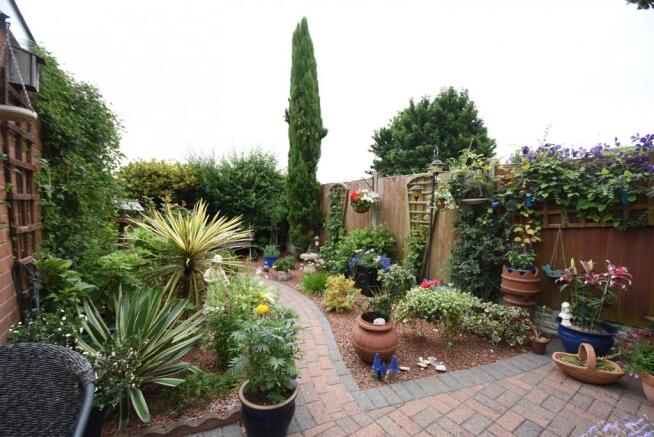 Back Garden