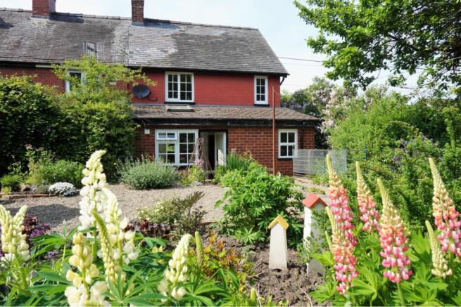 Cottage Garden