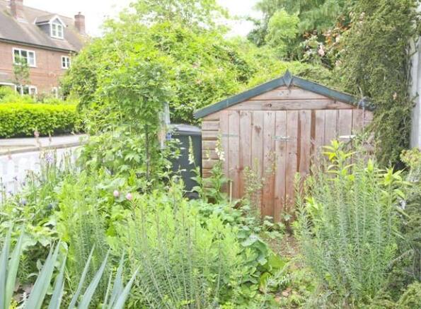Front garden & shed