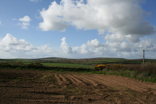 Rural View