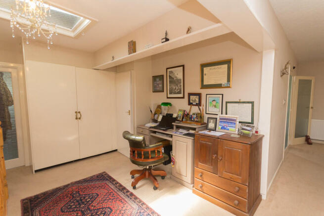 Study Area