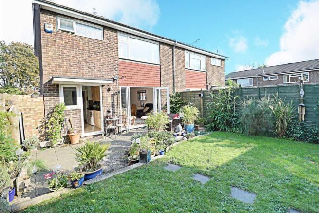 Garden at Back