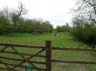 Paddock