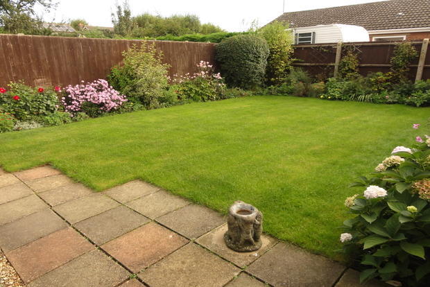 BACK GARDEN