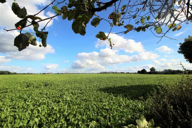 View Over Fields