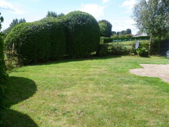 Photo 15