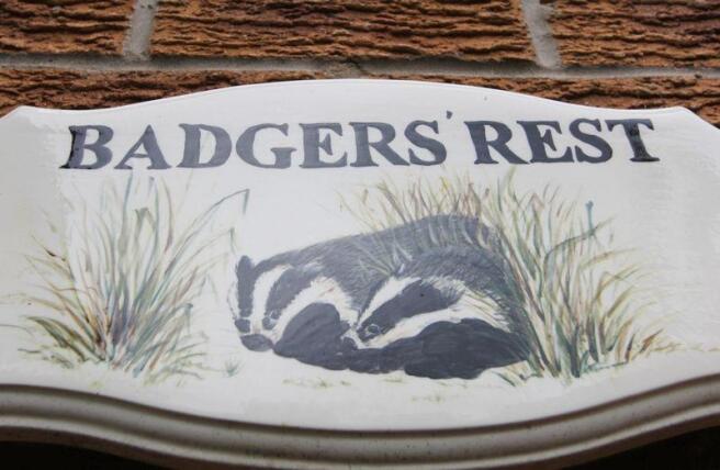 BADGERS' D...