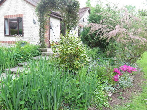 Photo 5