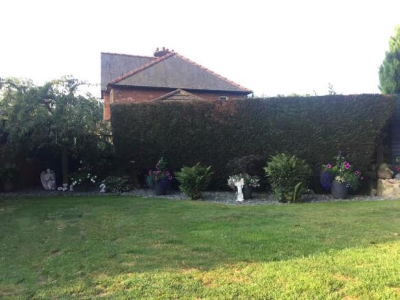 rear garden.jpg