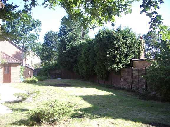 Garden 01