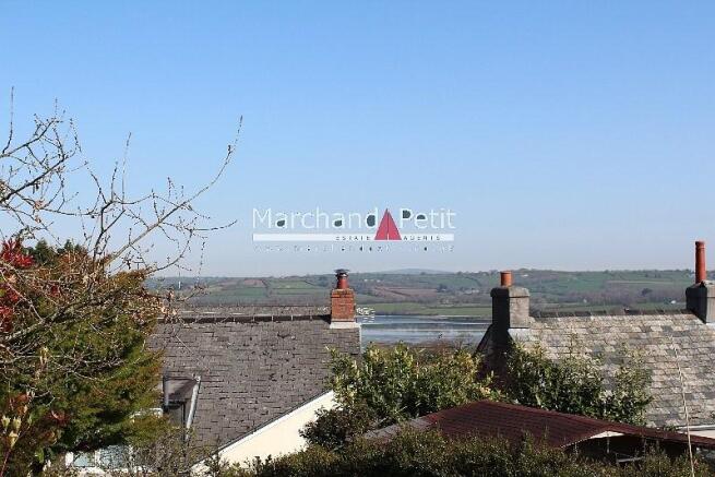 View from Garden