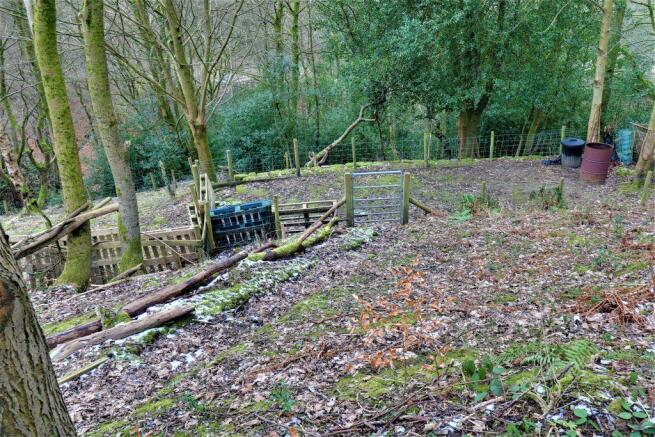 Woodland