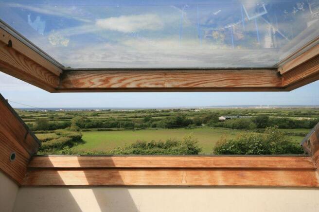 View from Window