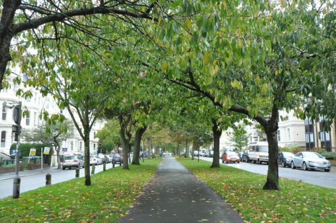 Castle Hill Ave