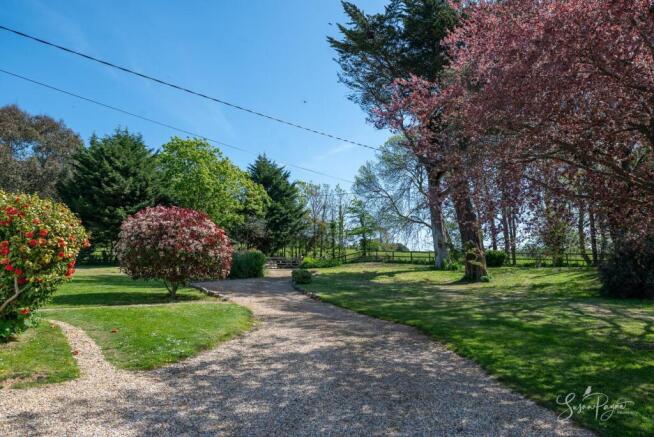 Driveway
