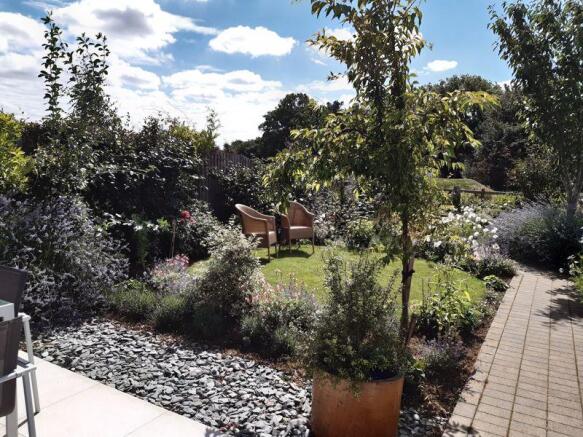 Garden - taken...