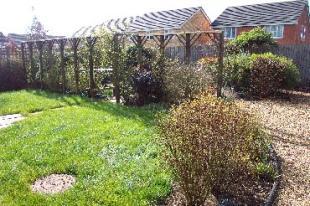 Rear Garden 3