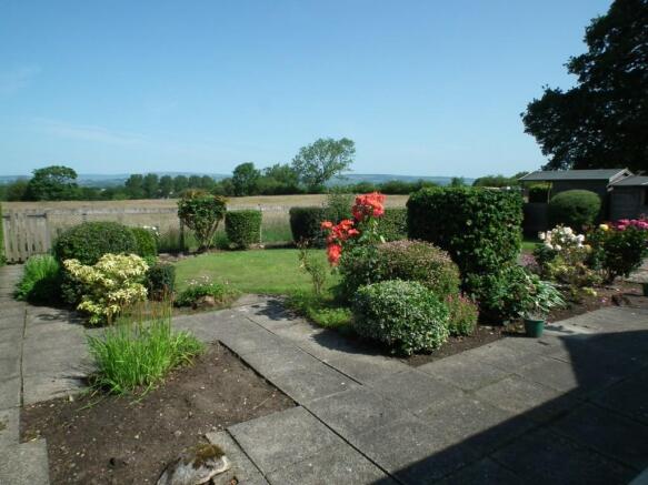 Rear Gardens