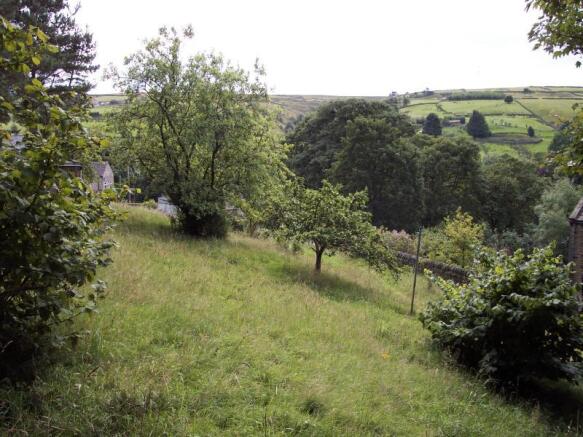 Image 11