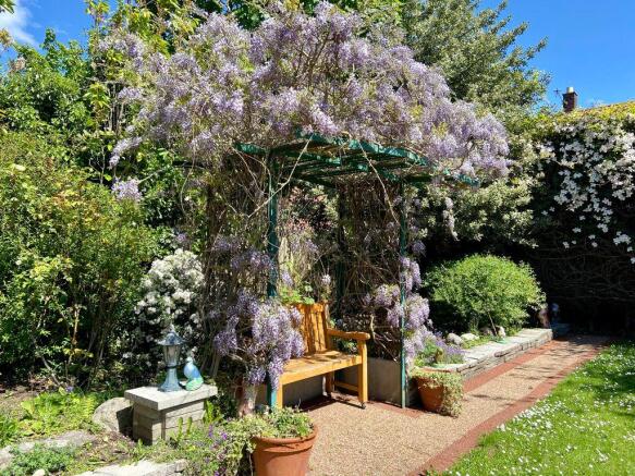 Garden at Back
