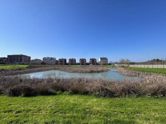 views across pond
