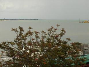 Views of estuary