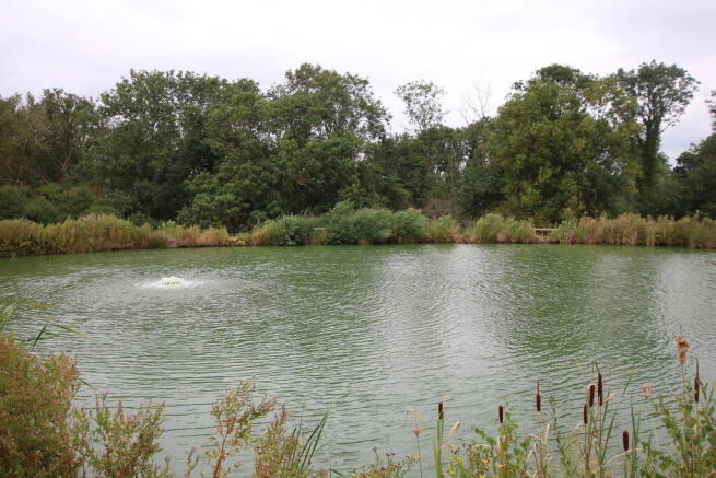 lakeviewh