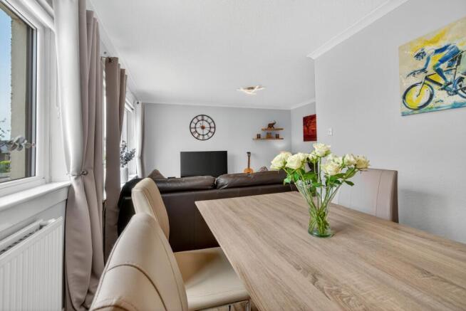 Lounge / Dining Area