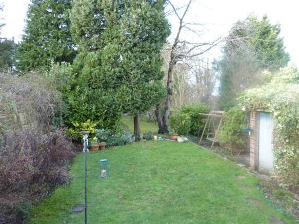 Photo 12