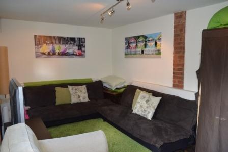 Games room and den