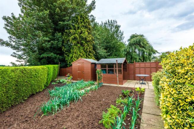 Vegetable Plot
