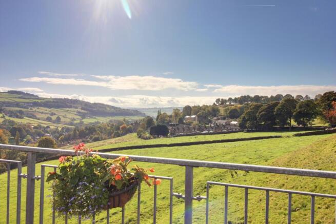 View from Shared Gardens