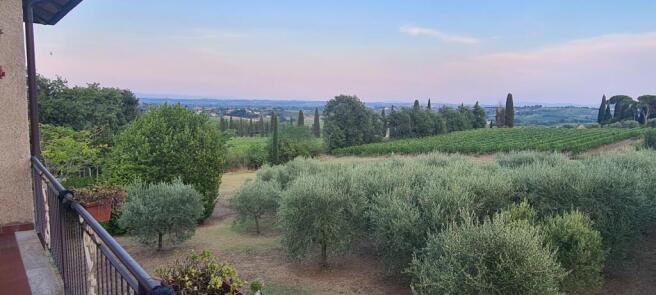 ff-f1d0988594c2e9f90