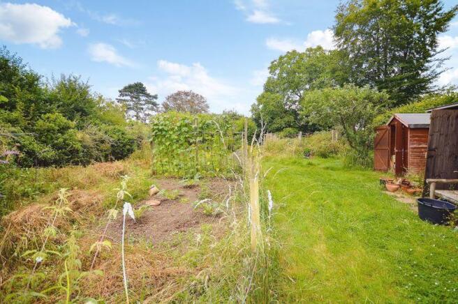 Veg plot