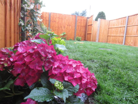 Photo 14