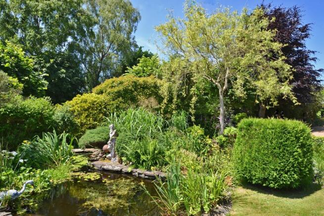Pond