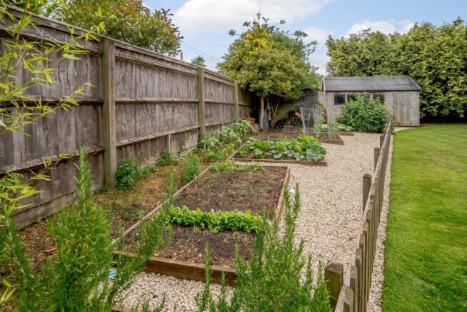 Vegetable Garden