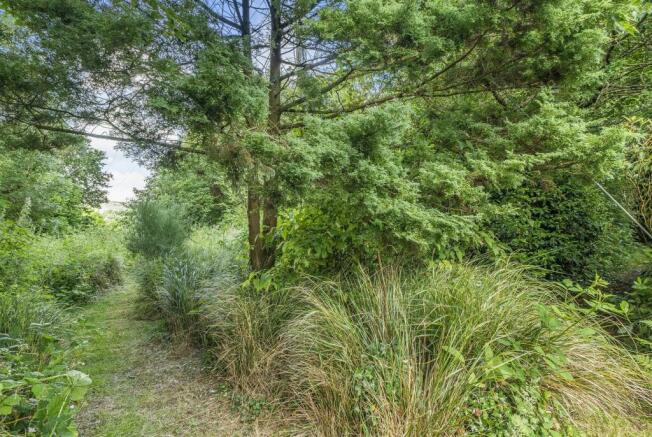 Woodland Pathway