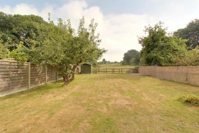 Garden at Back