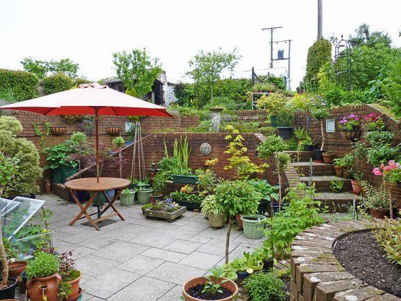 Patio Area