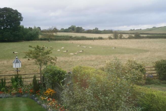 View from bed 1